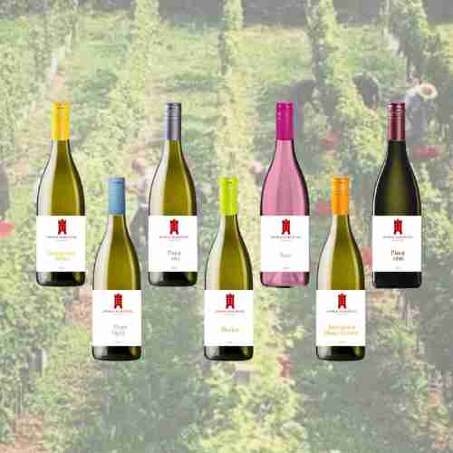 Marusevec_Weine_neu_2026 Weine Marusevec